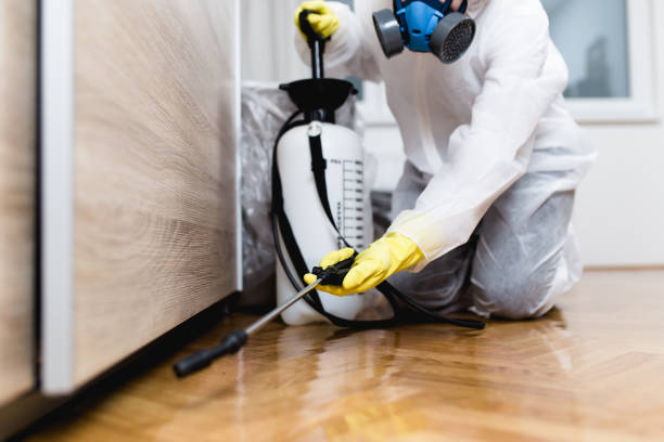 Best Local Pest Control Services  in Hayden, AL